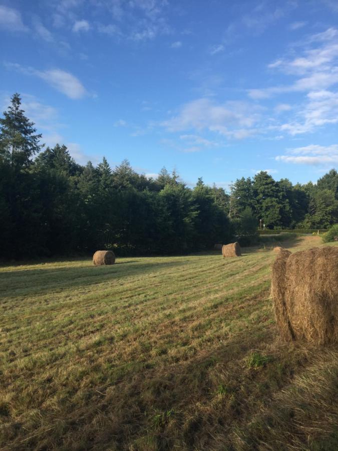 Slashdindonneau Chirac (Charente) Exterior foto